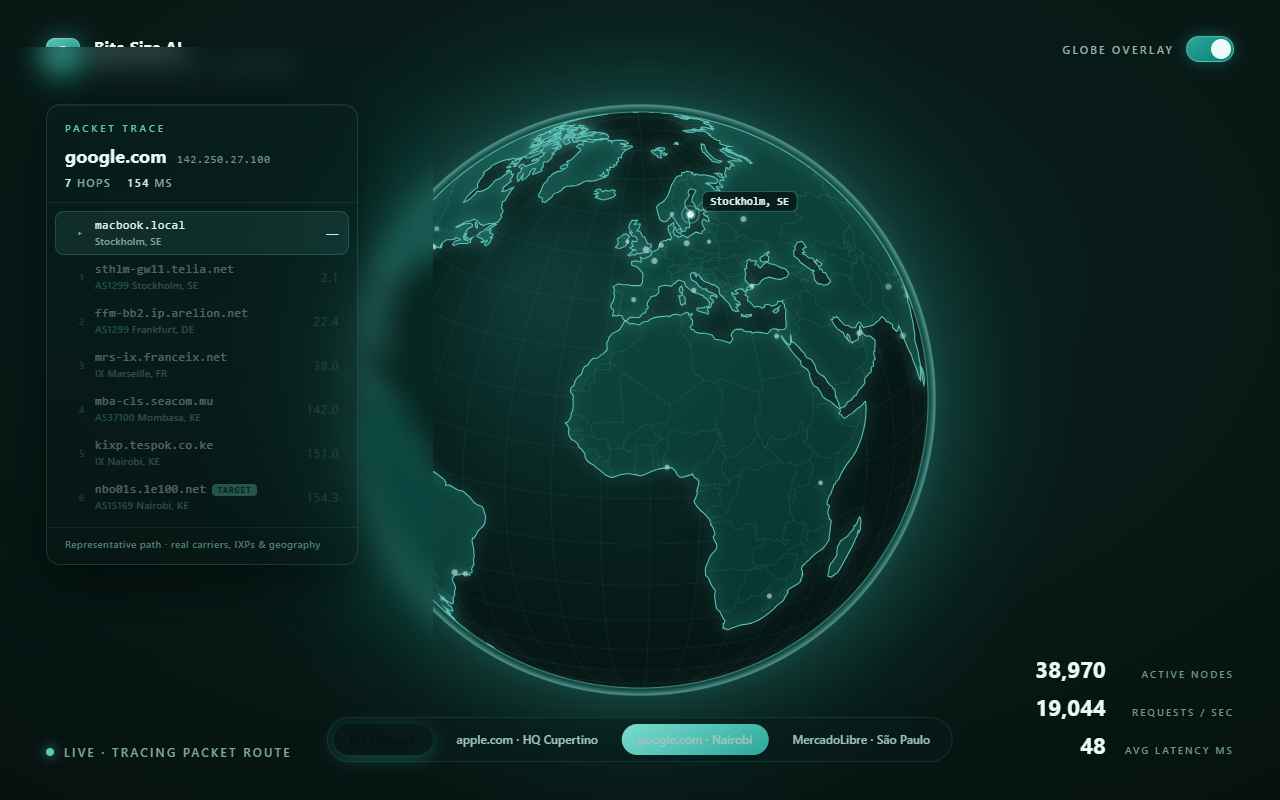 Packet trace to google.com Nairobi via the SEACOM subsea cable
